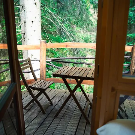 Veza V Korunach Stromov Velicna