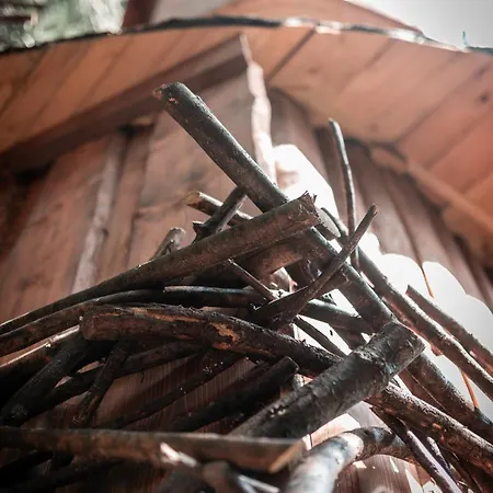 Veza V Korunach Stromov Luksustelt Velicna